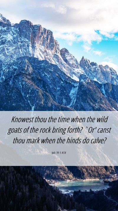 Picture 06 - Job 39:1 ASV Mobile Phone Wallpaper - Knowest thou the time when the wild goats of the - Mobile Bible Verse Wallpaper