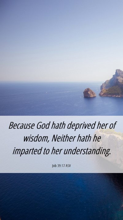 Picture 06 - Job 39:17 ASV Mobile Phone Wallpaper - Because God hath deprived her of wisdom, Neither - Mobile Bible Verse Wallpaper
