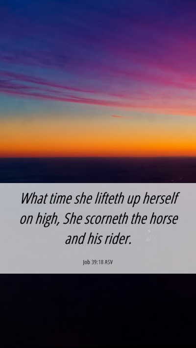 Picture 06 - Job 39:18 ASV Mobile Phone Wallpaper - What time she lifteth up herself on high, She - Mobile Bible Verse Wallpaper