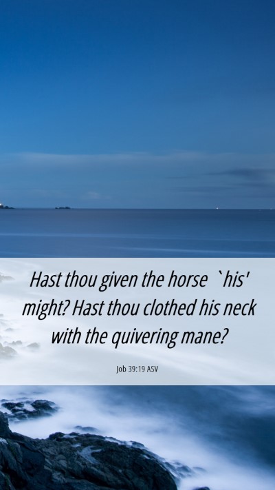 Picture 06 - Job 39:19 ASV Mobile Phone Wallpaper - Hast thou given the horse `his' might? Hast thou - Mobile Bible Verse Wallpaper