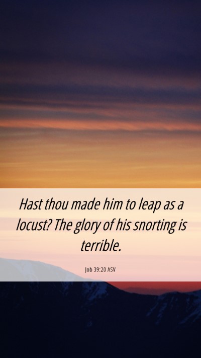 Picture 06 - Job 39:20 ASV Mobile Phone Wallpaper - Hast thou made him to leap as a locust? The glory - Mobile Bible Verse Wallpaper