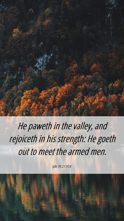 Picture 06 - Job 39:21 ASV Mobile Phone Wallpaper - He paweth in the valley, and rejoiceth in his - Mobile Bible Verse Wallpaper