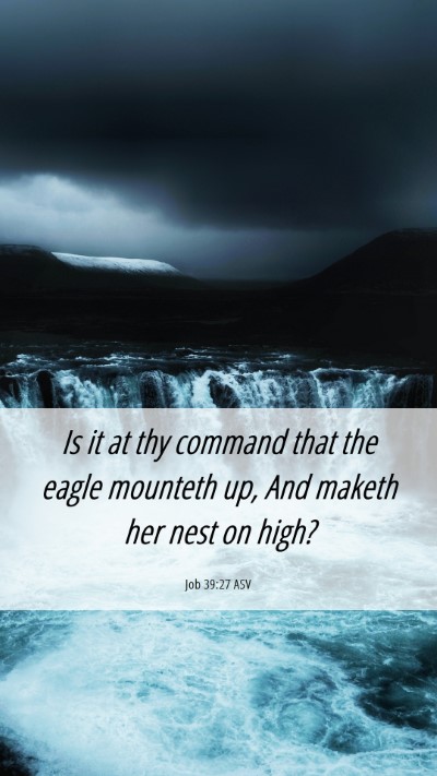 Picture 06 - Job 39:27 ASV Mobile Phone Wallpaper - Is it at thy command that the eagle mounteth up, - Mobile Bible Verse Wallpaper