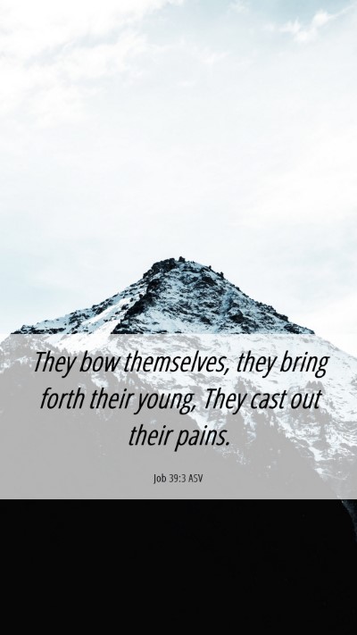 Picture 06 - Job 39:3 ASV Mobile Phone Wallpaper - They bow themselves, they bring forth their - Mobile Bible Verse Wallpaper