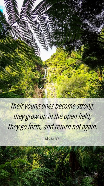Picture 06 - Job 39:4 ASV Mobile Phone Wallpaper - Their young ones become strong, they grow up in - Mobile Bible Verse Wallpaper