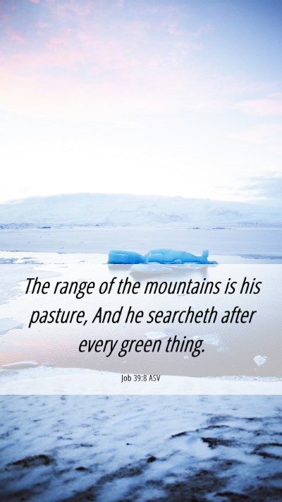 Picture 06 - Job 39:8 ASV Mobile Phone Wallpaper - The range of the mountains is his pasture, And he - Mobile Bible Verse Wallpaper