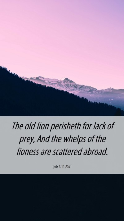 Picture 06 - Job 4:11 ASV Mobile Phone Wallpaper - The old lion perisheth for lack of prey, And the - Mobile Bible Verse Wallpaper