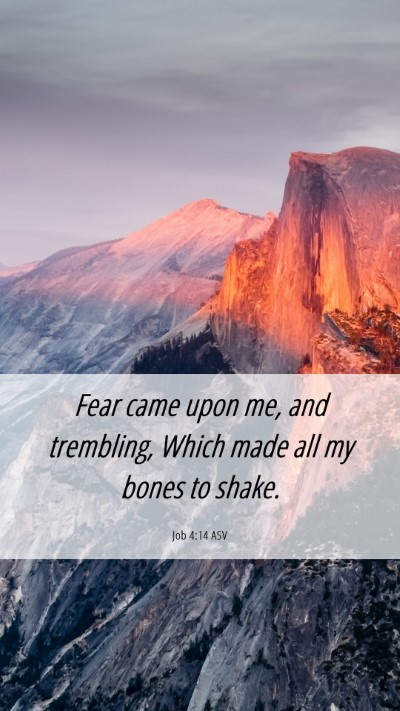 Picture 06 - Job 4:14 ASV Mobile Phone Wallpaper - Fear came upon me, and trembling, Which made all - Mobile Bible Verse Wallpaper