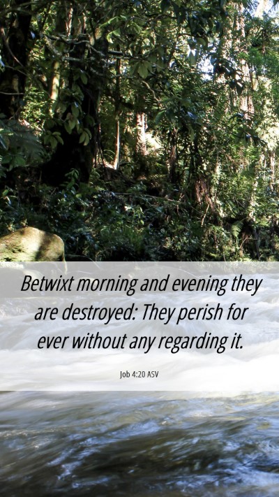 Picture 06 - Job 4:20 ASV Mobile Phone Wallpaper - Betwixt morning and evening they are destroyed: - Mobile Bible Verse Wallpaper