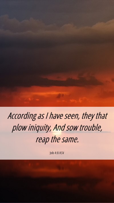 Picture 06 - Job 4:8 ASV Mobile Phone Wallpaper - According as I have seen, they that plow - Mobile Bible Verse Wallpaper