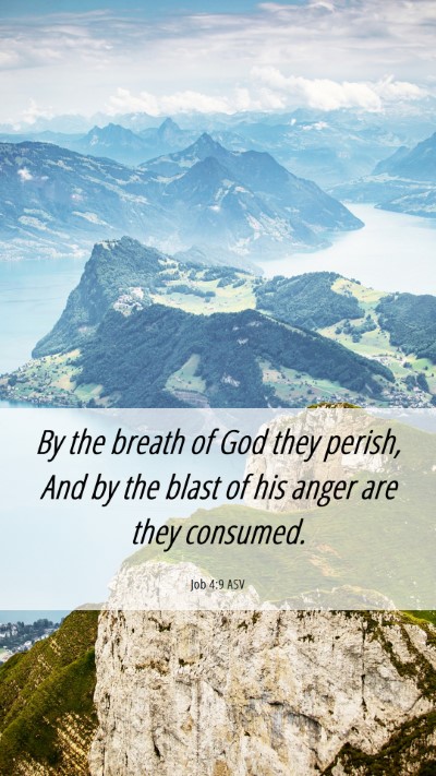 Picture 06 - Job 4:9 ASV Mobile Phone Wallpaper - By the breath of God they perish, And by the - Mobile Bible Verse Wallpaper