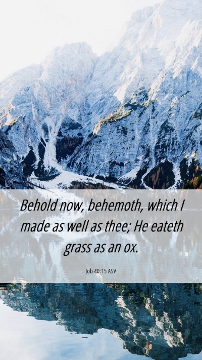 Picture 06 - Job 40:15 ASV Mobile Phone Wallpaper - Behold now, behemoth, which I made as well as - Mobile Bible Verse Wallpaper