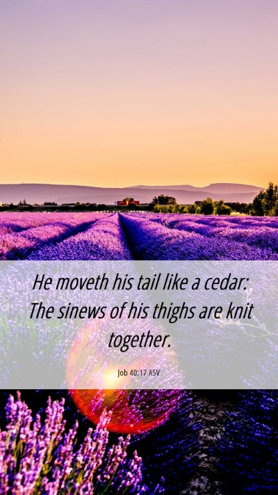 Picture 06 - Job 40:17 ASV Mobile Phone Wallpaper - He moveth his tail like a cedar: The sinews of - Mobile Bible Verse Wallpaper