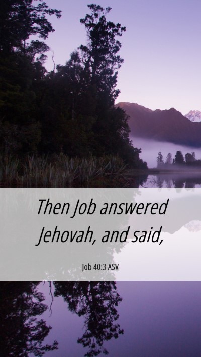 Picture 06 - Job 40:3 ASV Mobile Phone Wallpaper - Then Job answered Jehovah, and - Mobile Bible Verse Wallpaper