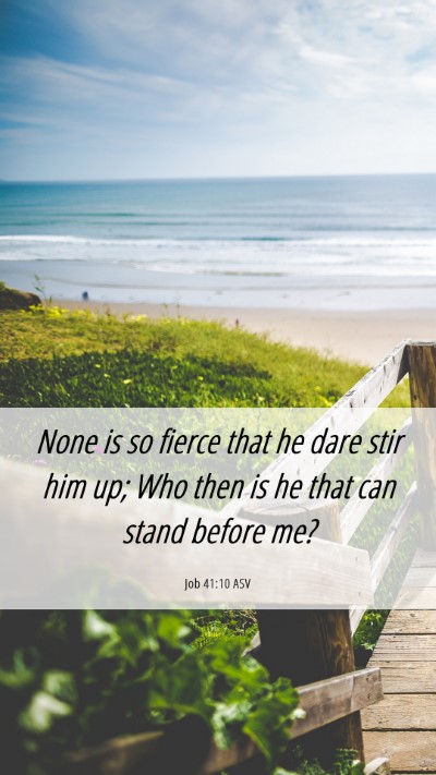 Picture 06 - Job 41:10 ASV Mobile Phone Wallpaper - None is so fierce that he dare stir him up; Who - Mobile Bible Verse Wallpaper