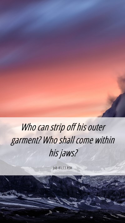 Picture 06 - Job 41:13 ASV Mobile Phone Wallpaper - Who can strip off his outer garment? Who shall - Mobile Bible Verse Wallpaper