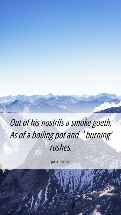 Picture 06 - Job 41:20 ASV Mobile Phone Wallpaper - Out of his nostrils a smoke goeth, As of a - Mobile Bible Verse Wallpaper
