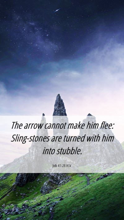 Picture 06 - Job 41:28 ASV Mobile Phone Wallpaper - The arrow cannot make him flee: Sling-stones are - Mobile Bible Verse Wallpaper