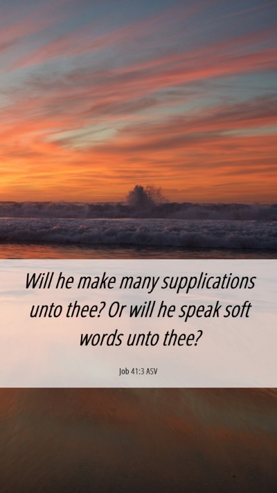 Picture 06 - Job 41:3 ASV Mobile Phone Wallpaper - Will he make many supplications unto thee? Or - Mobile Bible Verse Wallpaper