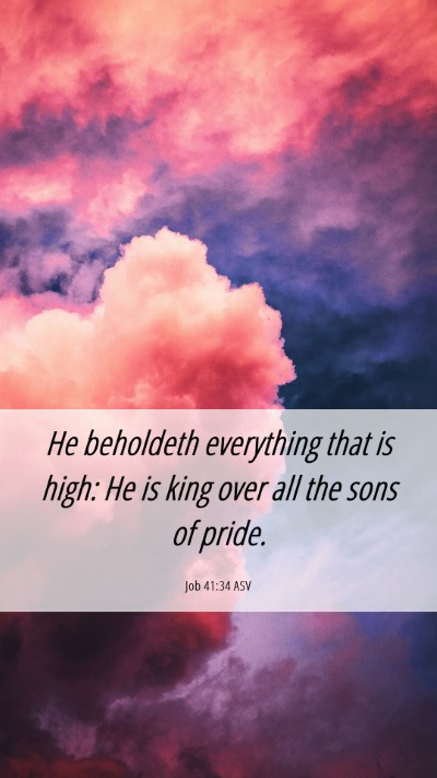 Picture 06 - Job 41:34 ASV Mobile Phone Wallpaper - He beholdeth everything that is high: He is king - Mobile Bible Verse Wallpaper