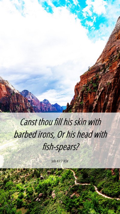 Picture 06 - Job 41:7 ASV Mobile Phone Wallpaper - Canst thou fill his skin with barbed irons, Or - Mobile Bible Verse Wallpaper