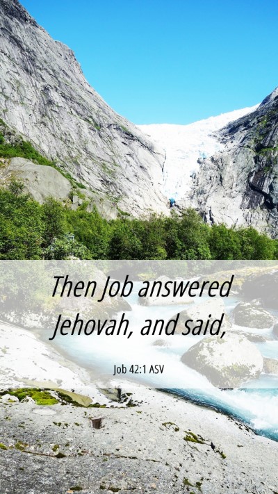 Picture 06 - Job 42:1 ASV Mobile Phone Wallpaper - Then Job answered Jehovah, and - Mobile Bible Verse Wallpaper