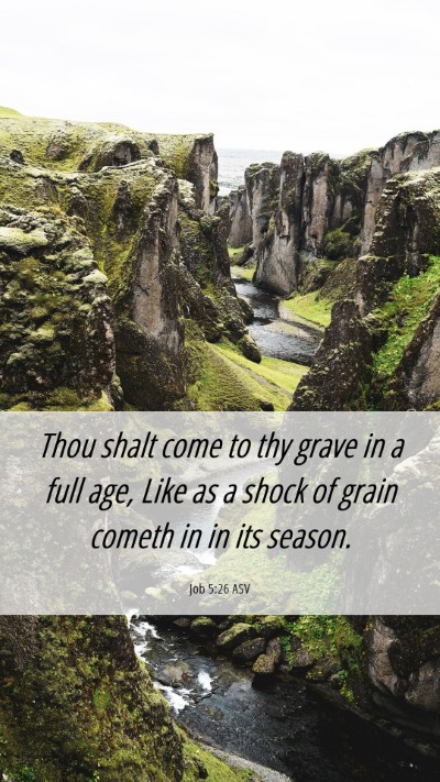 Picture 06 - Job 5:26 ASV Mobile Phone Wallpaper - Thou shalt come to thy grave in a full age, Like - Mobile Bible Verse Wallpaper