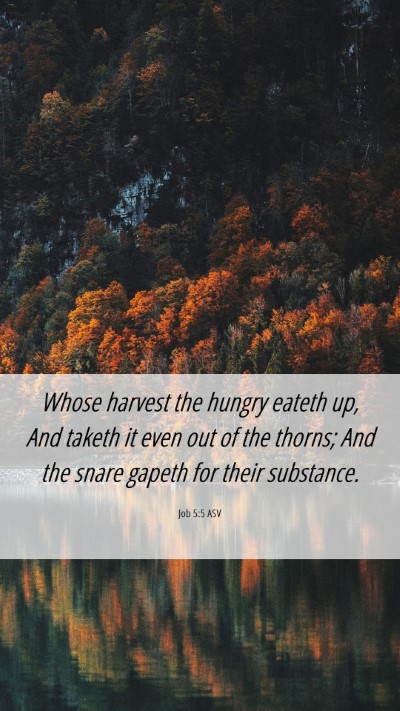 Picture 06 - Job 5:5 ASV Mobile Phone Wallpaper - Whose harvest the hungry eateth up, And taketh it - Mobile Bible Verse Wallpaper