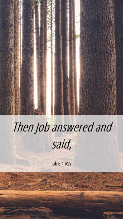 Picture 06 - Job 6:1 ASV Mobile Phone Wallpaper - Then Job answered and - Mobile Bible Verse Wallpaper
