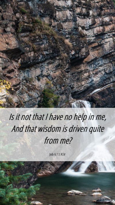 Picture 06 - Job 6:13 ASV Mobile Phone Wallpaper - Is it not that I have no help in me, And that - Mobile Bible Verse Wallpaper