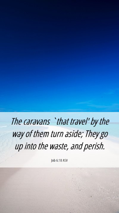 Picture 06 - Job 6:18 ASV Mobile Phone Wallpaper - The caravans `that travel' by the way of them - Mobile Bible Verse Wallpaper