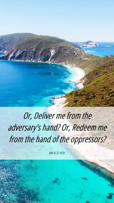 Picture 06 - Job 6:23 ASV Mobile Phone Wallpaper - Or, Deliver me from the adversary's hand? Or, - Mobile Bible Verse Wallpaper