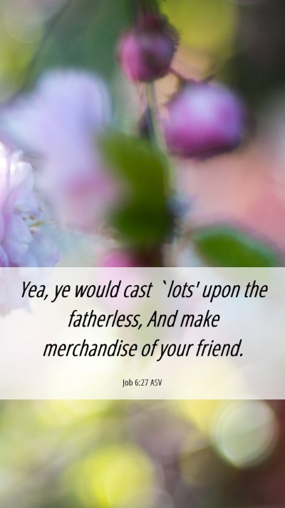Picture 06 - Job 6:27 ASV Mobile Phone Wallpaper - Yea, ye would cast `lots' upon the fatherless, - Mobile Bible Verse Wallpaper
