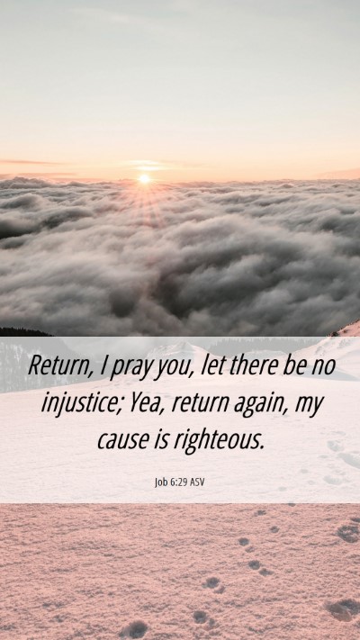 Picture 06 - Job 6:29 ASV Mobile Phone Wallpaper - Return, I pray you, let there be no injustice; - Mobile Bible Verse Wallpaper