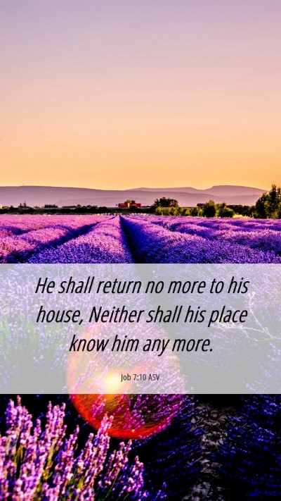 Picture 06 - Job 7:10 ASV Mobile Phone Wallpaper - He shall return no more to his house, Neither - Mobile Bible Verse Wallpaper