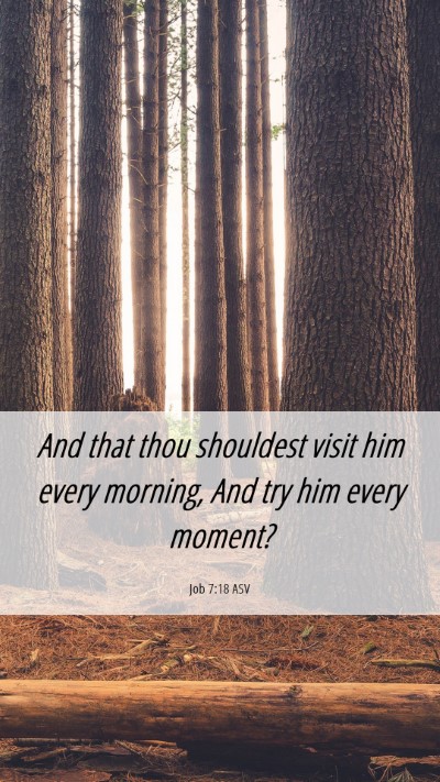 Picture 06 - Job 7:18 ASV Mobile Phone Wallpaper - And that thou shouldest visit him every morning, - Mobile Bible Verse Wallpaper