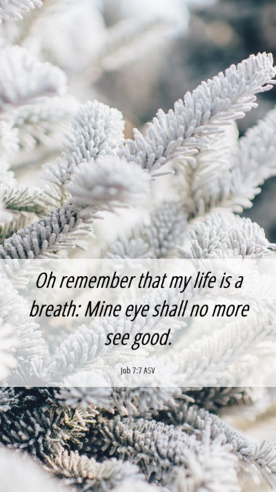 Picture 06 - Job 7:7 ASV Mobile Phone Wallpaper - Oh remember that my life is a breath: Mine eye - Mobile Bible Verse Wallpaper