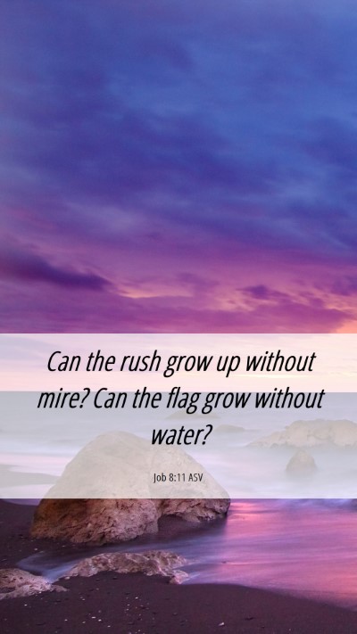 Picture 06 - Job 8:11 ASV Mobile Phone Wallpaper - Can the rush grow up without mire? Can the flag - Mobile Bible Verse Wallpaper