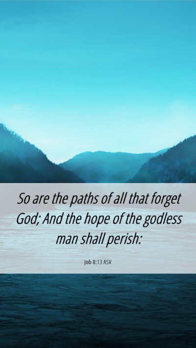 Picture 06 - Job 8:13 ASV Mobile Phone Wallpaper - So are the paths of all that forget God; And the - Mobile Bible Verse Wallpaper
