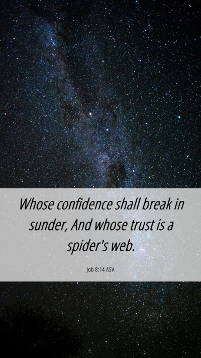 Picture 06 - Job 8:14 ASV Mobile Phone Wallpaper - Whose confidence shall break in sunder, And whose - Mobile Bible Verse Wallpaper