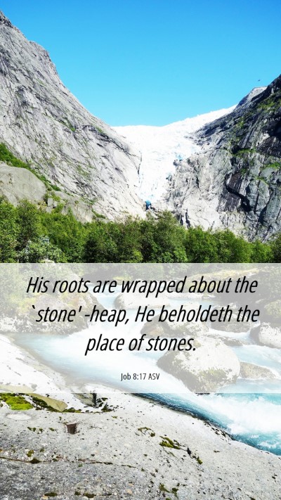 Picture 06 - Job 8:17 ASV Mobile Phone Wallpaper - His roots are wrapped about the `stone' -heap, He - Mobile Bible Verse Wallpaper