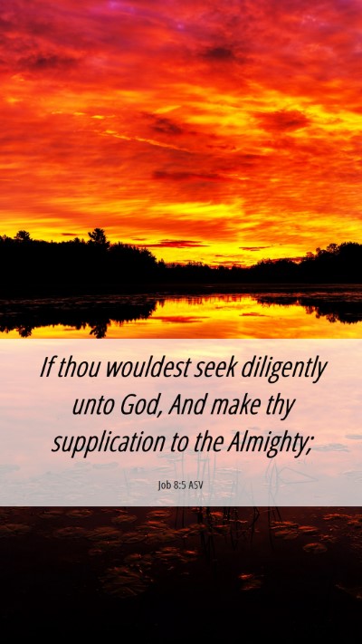 Picture 06 - Job 8:5 ASV Mobile Phone Wallpaper - If thou wouldest seek diligently unto God, And - Mobile Bible Verse Wallpaper
