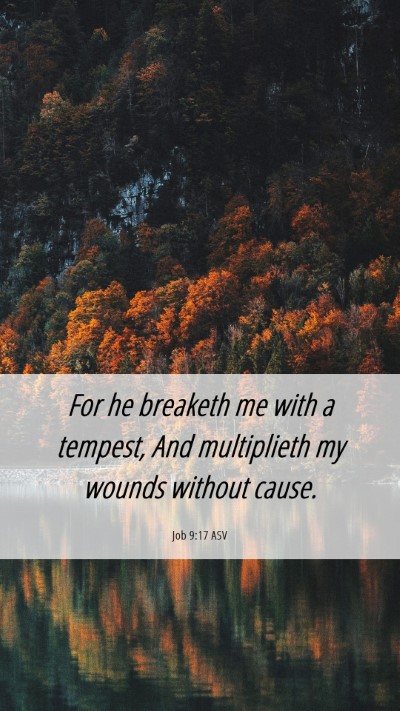 Picture 06 - Job 9:17 ASV Mobile Phone Wallpaper - For he breaketh me with a tempest, And - Mobile Bible Verse Wallpaper