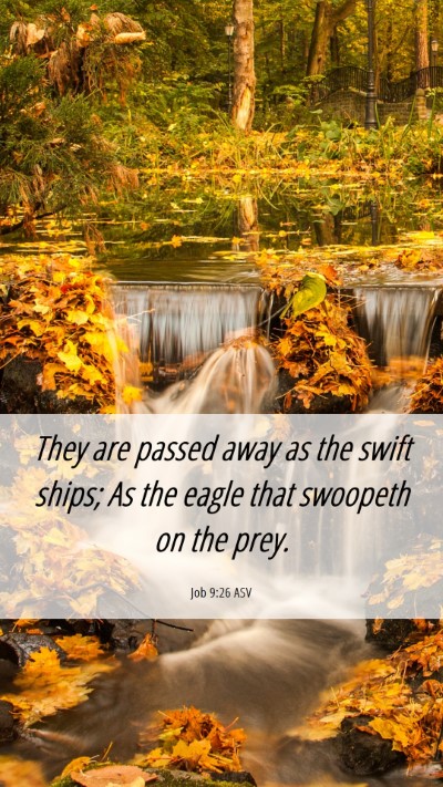 Picture 06 - Job 9:26 ASV Mobile Phone Wallpaper - They are passed away as the swift ships; As the - Mobile Bible Verse Wallpaper
