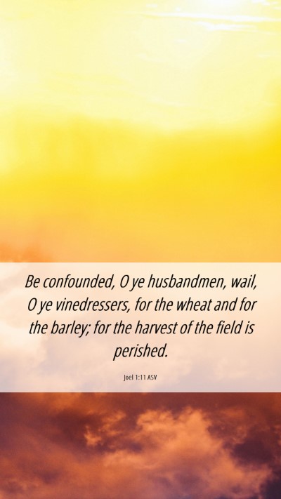 Picture 06 - Joel 1:11 ASV Mobile Phone Wallpaper - Be confounded, O ye husbandmen, wail, O ye - Mobile Bible Verse Wallpaper