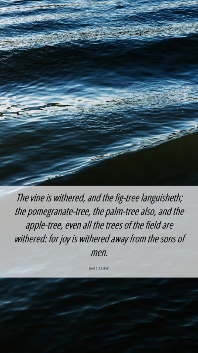 Picture 06 - Joel 1:12 ASV Mobile Phone Wallpaper - The vine is withered, and the fig-tree - Mobile Bible Verse Wallpaper