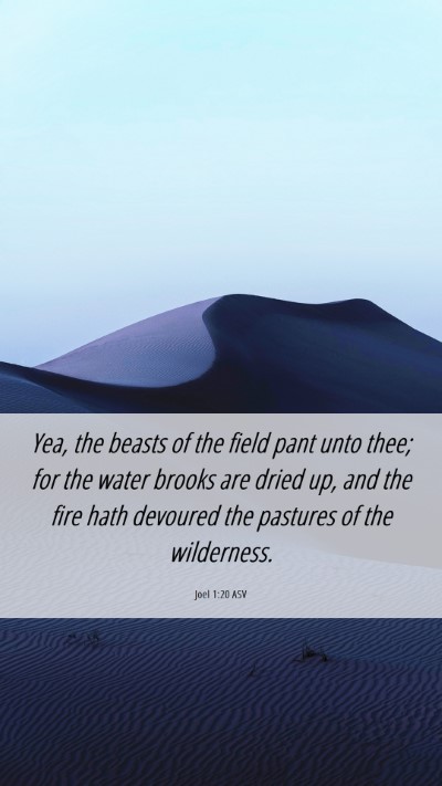 Picture 06 - Joel 1:20 ASV Mobile Phone Wallpaper - Yea, the beasts of the field pant unto thee; for - Mobile Bible Verse Wallpaper