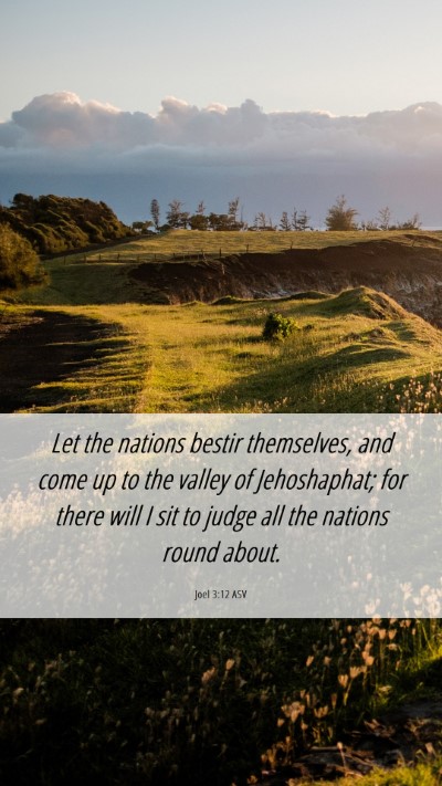 Picture 06 - Joel 3:12 ASV Mobile Phone Wallpaper - Let the nations bestir themselves, and come up to - Mobile Bible Verse Wallpaper
