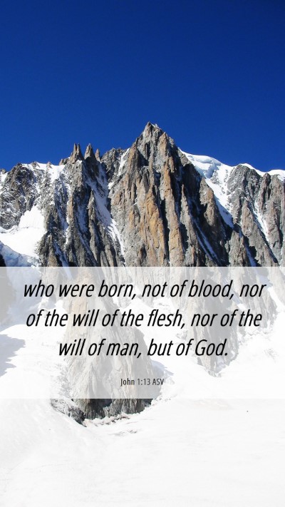 Picture 06 - John 1:13 ASV Mobile Phone Wallpaper - who were born, not of blood, nor of the will of - Mobile Bible Verse Wallpaper