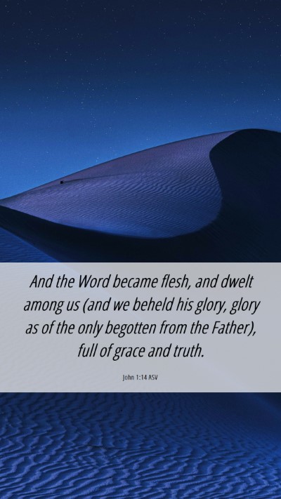Picture 06 - John 1:14 ASV Mobile Phone Wallpaper - And the Word became flesh, and dwelt among us - Mobile Bible Verse Wallpaper